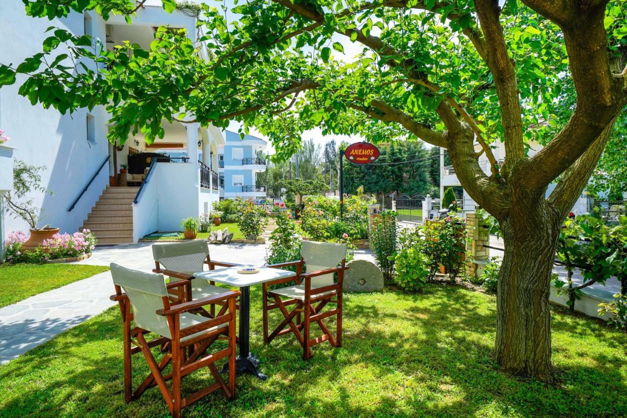 Studios Anemos Chrisi Ammoudia Exterior foto